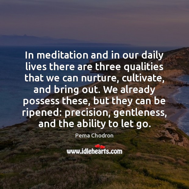In meditation and in our daily lives there are three qualities that Pema Chodron Picture Quote