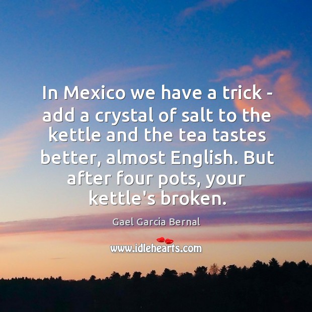 In Mexico we have a trick – add a crystal of salt Gael Garcia Bernal Picture Quote