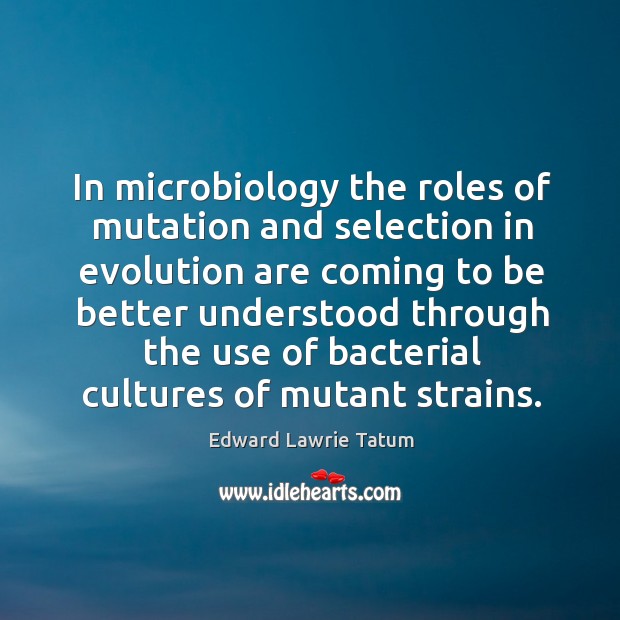 In microbiology the roles of mutation and selection in evolution are coming to be better Edward Lawrie Tatum Picture Quote