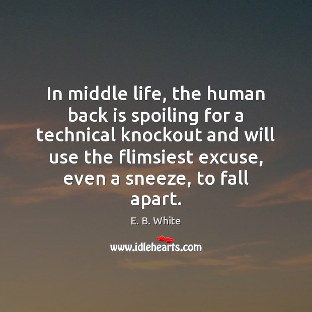 In middle life, the human back is spoiling for a technical knockout E. B. White Picture Quote