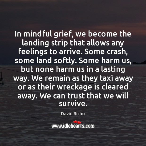 In mindful grief, we become the landing strip that allows any feelings David Richo Picture Quote