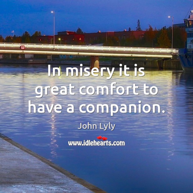 In misery it is great comfort to have a companion. John Lyly Picture Quote