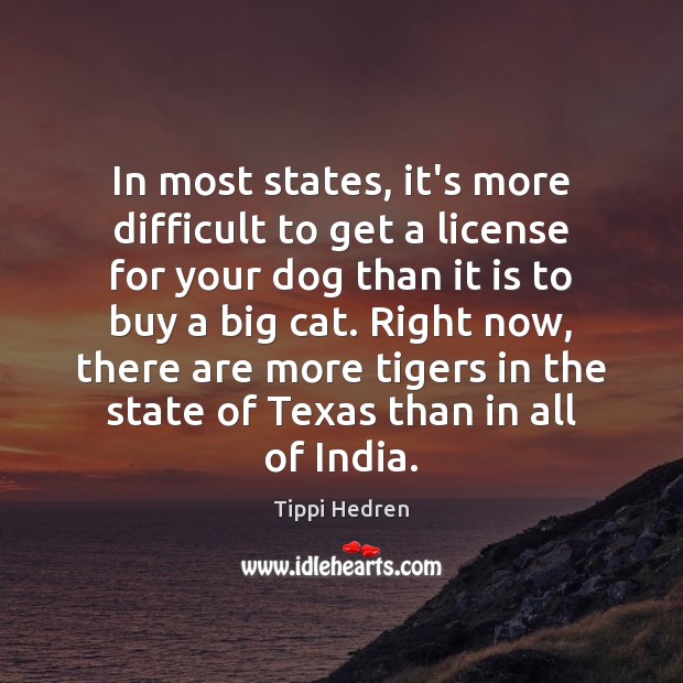 In most states, it’s more difficult to get a license for your Tippi Hedren Picture Quote