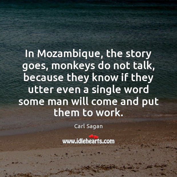 In Mozambique, the story goes, monkeys do not talk, because they know Carl Sagan Picture Quote