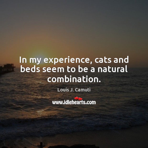 In my experience, cats and beds seem to be a natural combination. Louis J. Camuti Picture Quote