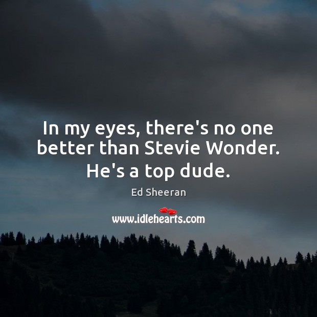 In my eyes, there’s no one better than Stevie Wonder. He’s a top dude. Ed Sheeran Picture Quote