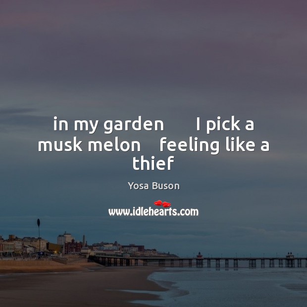 In my garden       I pick a musk melon    feeling like a thief Yosa Buson Picture Quote