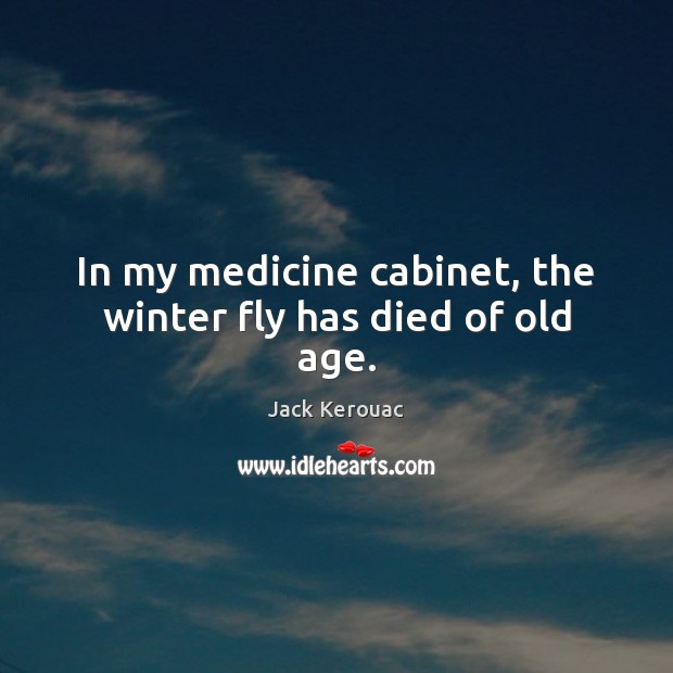 In my medicine cabinet, the winter fly has died of old age. Image