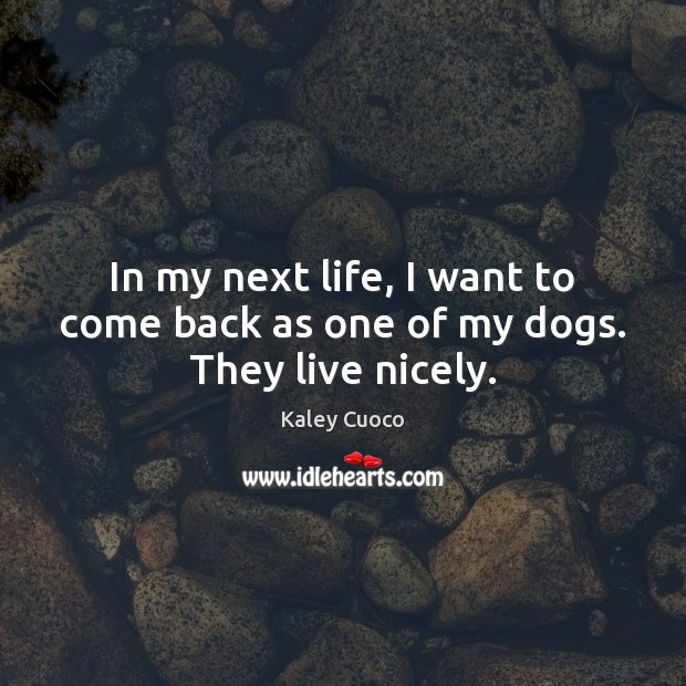 In my next life, I want to come back as one of my dogs. They live nicely. Kaley Cuoco Picture Quote