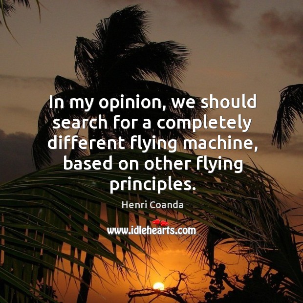 In my opinion, we should search for a completely different flying machine, based on other flying principles. Henri Coanda Picture Quote