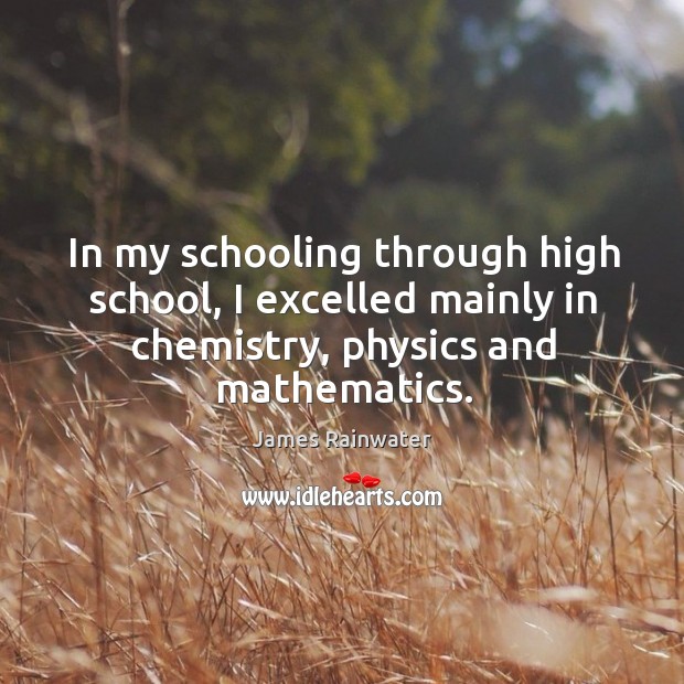 In my schooling through high school, I excelled mainly in chemistry, physics and mathematics. James Rainwater Picture Quote