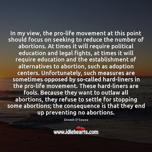 In my view, the pro-life movement at this point should focus on Image