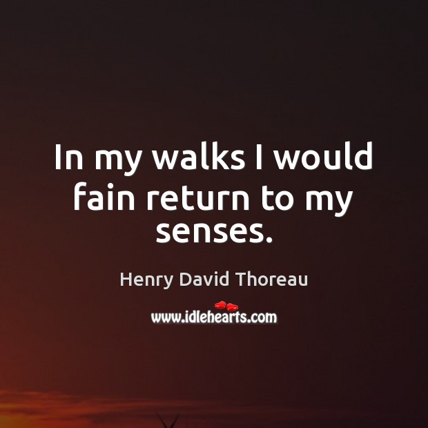 In my walks I would fain return to my senses. Henry David Thoreau Picture Quote