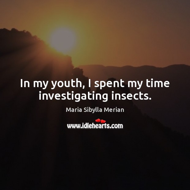 In my youth, I spent my time investigating insects. Image