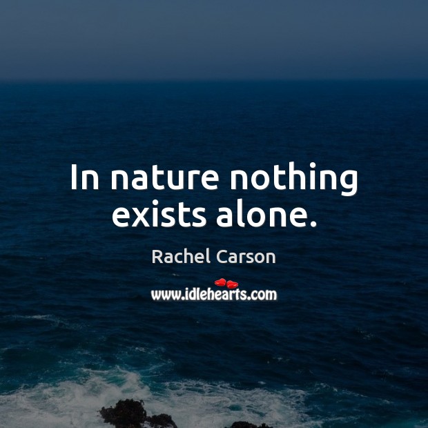 In nature nothing exists alone. Rachel Carson Picture Quote