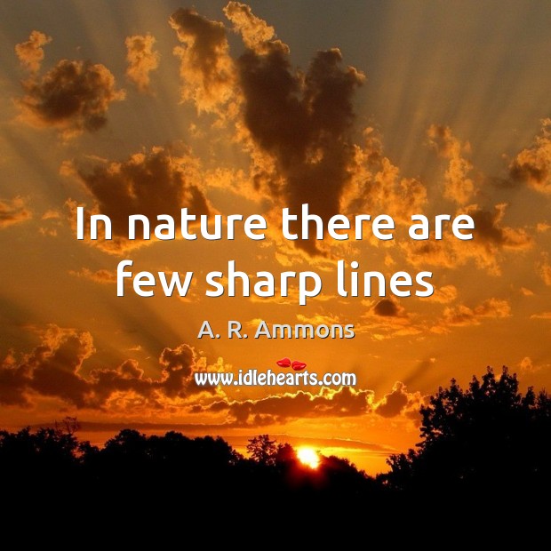 In nature there are few sharp lines A. R. Ammons Picture Quote