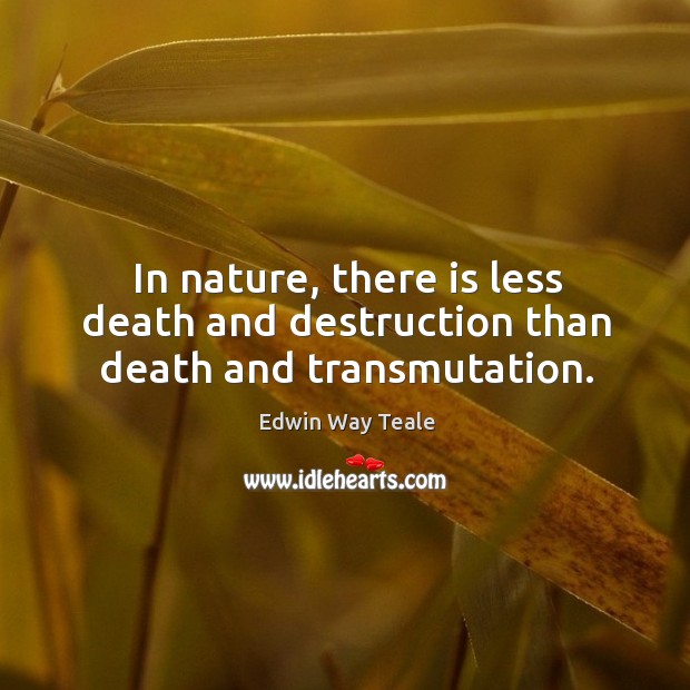 In nature, there is less death and destruction than death and transmutation. Image