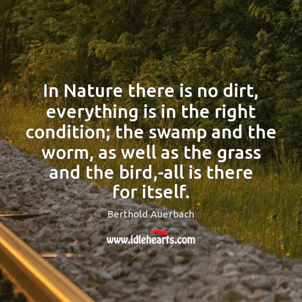 In Nature there is no dirt, everything is in the right condition; Berthold Auerbach Picture Quote