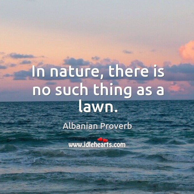 In nature, there is no such thing as a lawn. Albanian Proverbs Image