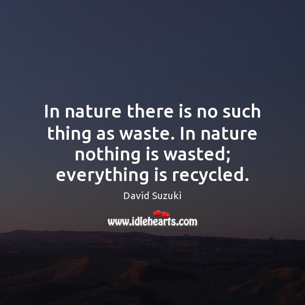 In nature there is no such thing as waste. In nature nothing David Suzuki Picture Quote