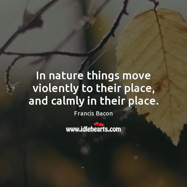 In nature things move violently to their place, and calmly in their place. Francis Bacon Picture Quote