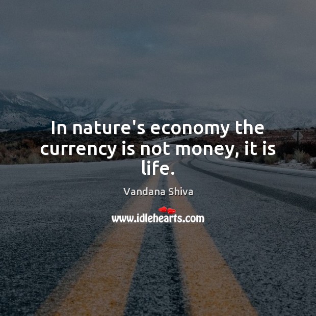 In nature’s economy the currency is not money, it is life. Vandana Shiva Picture Quote