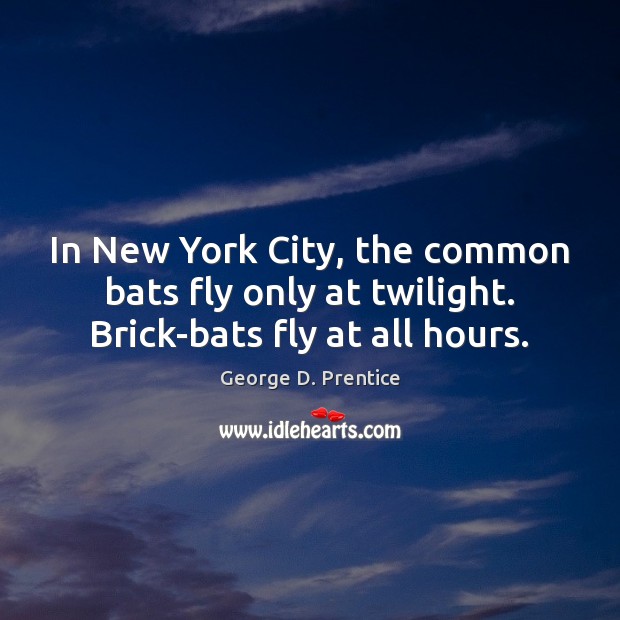 In New York City, the common bats fly only at twilight. Brick-bats fly at all hours. George D. Prentice Picture Quote