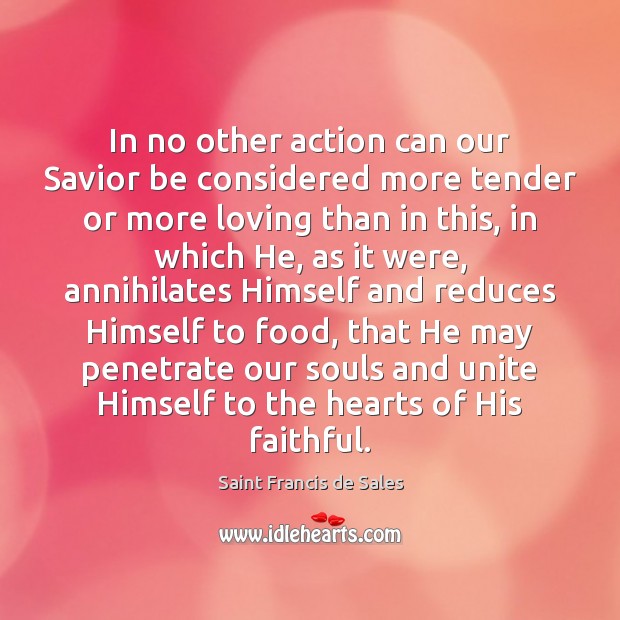 In no other action can our Savior be considered more tender or Saint Francis de Sales Picture Quote