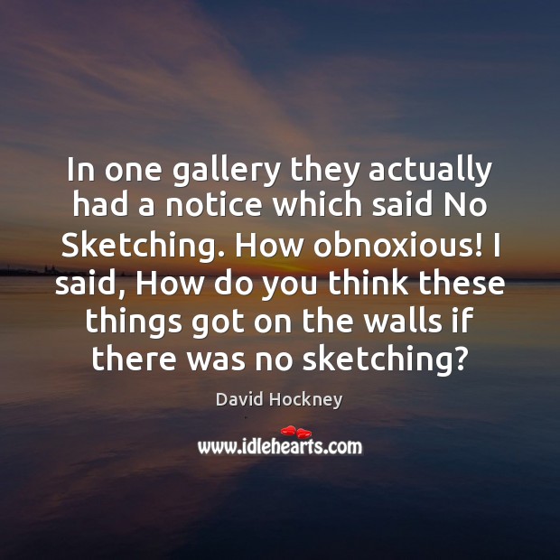 In one gallery they actually had a notice which said No Sketching. David Hockney Picture Quote