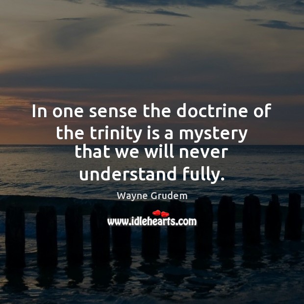 In one sense the doctrine of the trinity is a mystery that we will never understand fully. Wayne Grudem Picture Quote