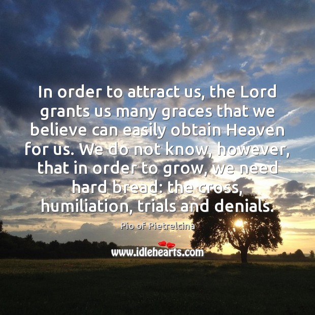 In order to attract us, the Lord grants us many graces that Pio of Pietrelcina Picture Quote
