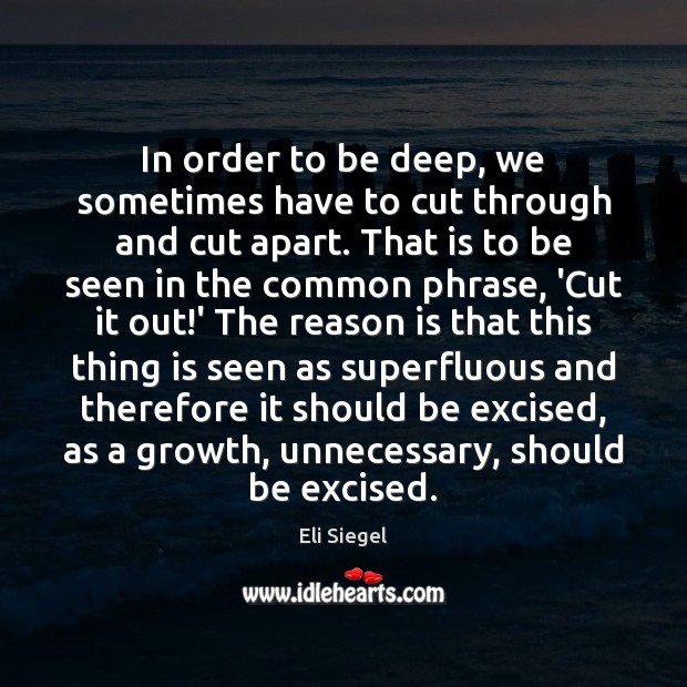 In order to be deep, we sometimes have to cut through and Eli Siegel Picture Quote
