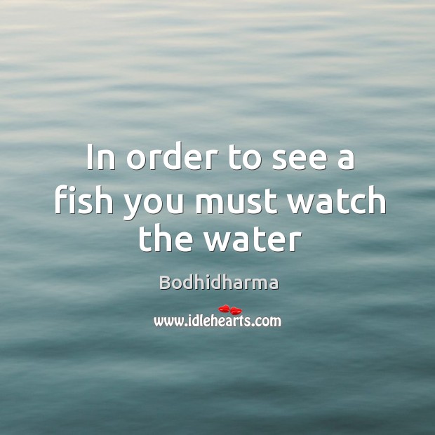 In order to see a fish you must watch the water Image