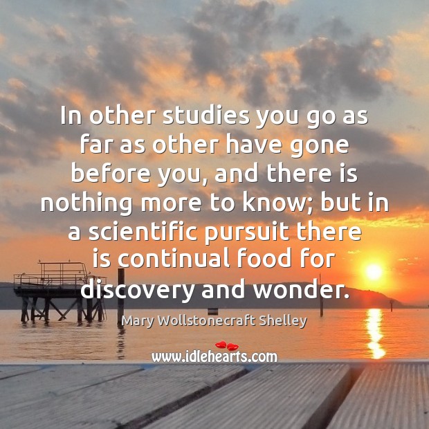 In other studies you go as far as other have gone before Mary Wollstonecraft Shelley Picture Quote