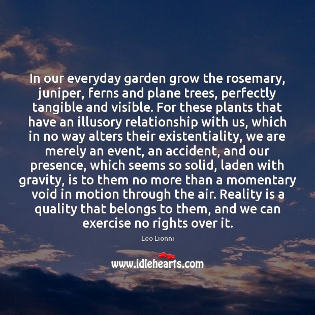 In our everyday garden grow the rosemary, juniper, ferns and plane trees, Image