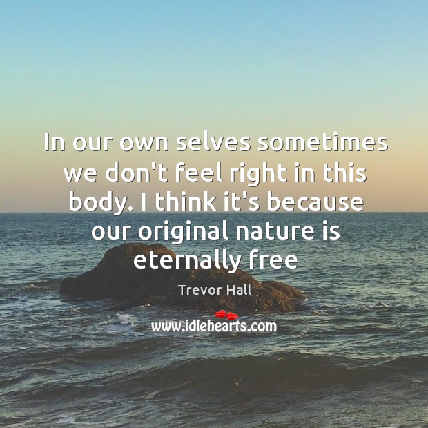 In our own selves sometimes we don’t feel right in this body. Trevor Hall Picture Quote
