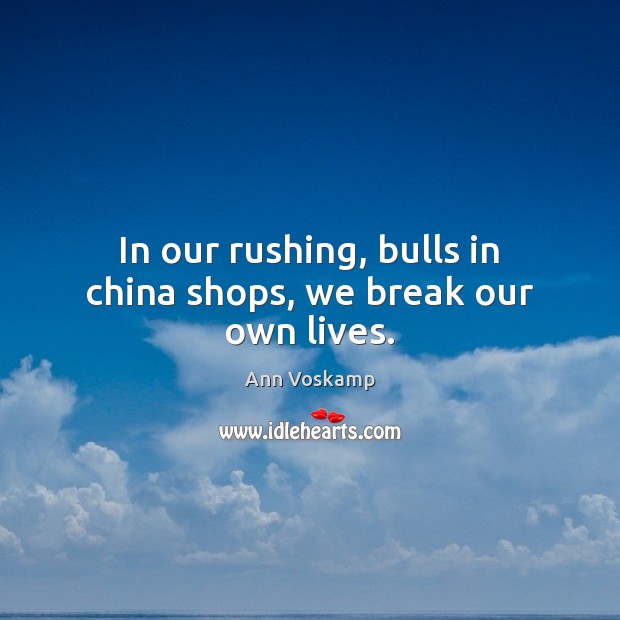 In our rushing, bulls in china shops, we break our own lives. Ann Voskamp Picture Quote
