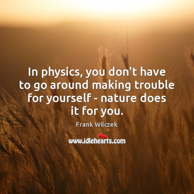In physics, you don’t have to go around making trouble for yourself Frank Wilczek Picture Quote