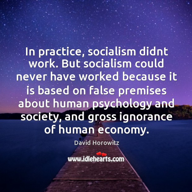 In practice, socialism didnt work. But socialism could never have worked because David Horowitz Picture Quote