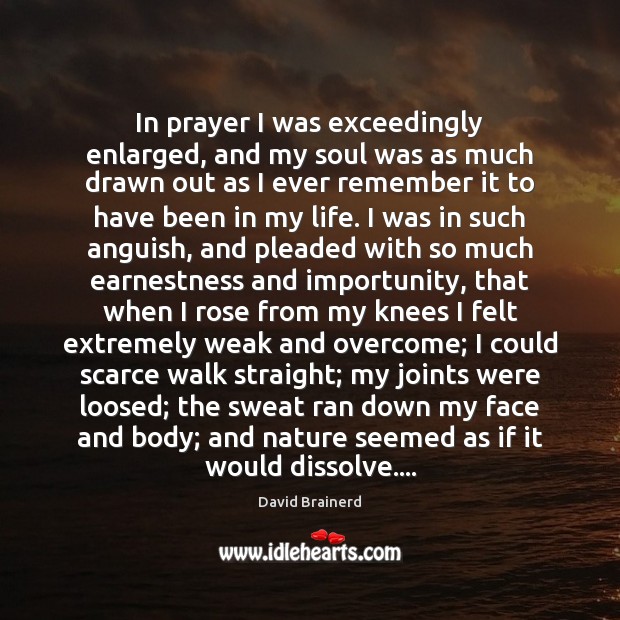 In prayer I was exceedingly enlarged, and my soul was as much David Brainerd Picture Quote