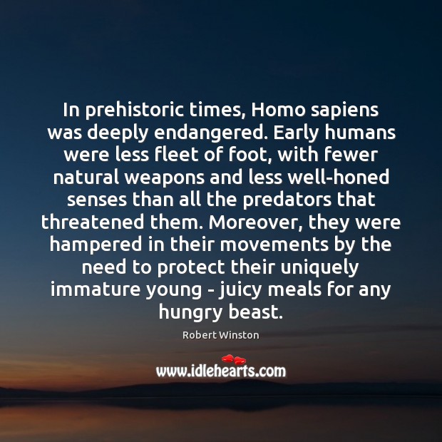 In prehistoric times, Homo sapiens was deeply endangered. Early humans were less Robert Winston Picture Quote