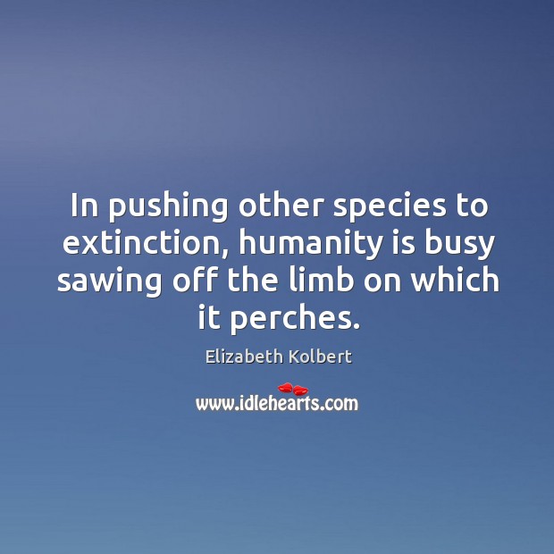 In pushing other species to extinction, humanity is busy sawing off the Elizabeth Kolbert Picture Quote