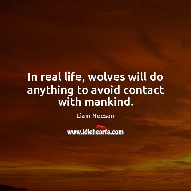 In real life, wolves will do anything to avoid contact with mankind. Liam Neeson Picture Quote