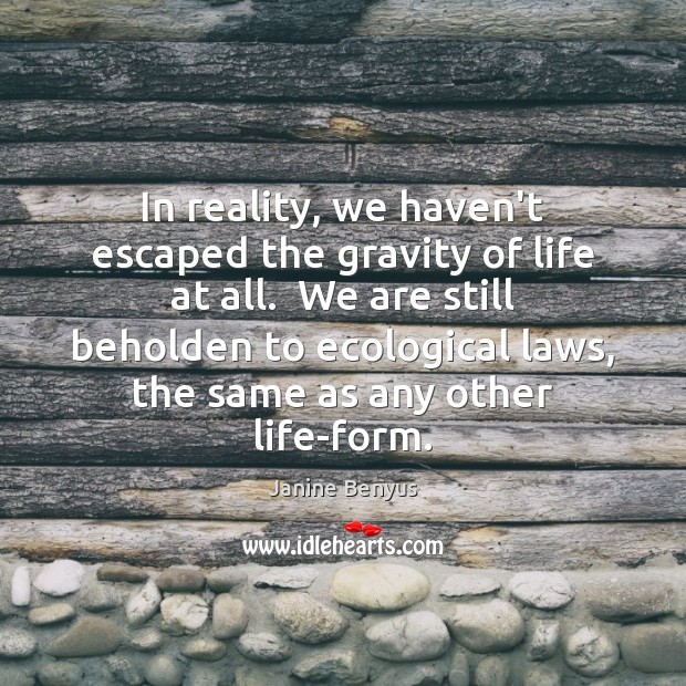 In reality, we haven’t escaped the gravity of life at all.  We Image