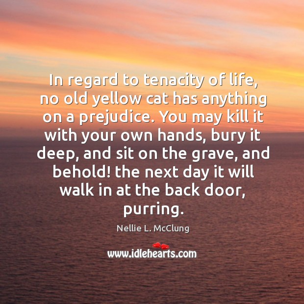 In regard to tenacity of life, no old yellow cat has anything Image