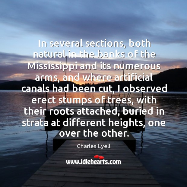 In several sections, both natural in the banks of the mississippi and its numerous arms Charles Lyell Picture Quote