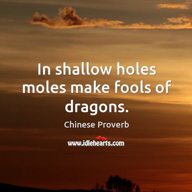 In shallow holes moles make fools of dragons. Chinese Proverbs Image