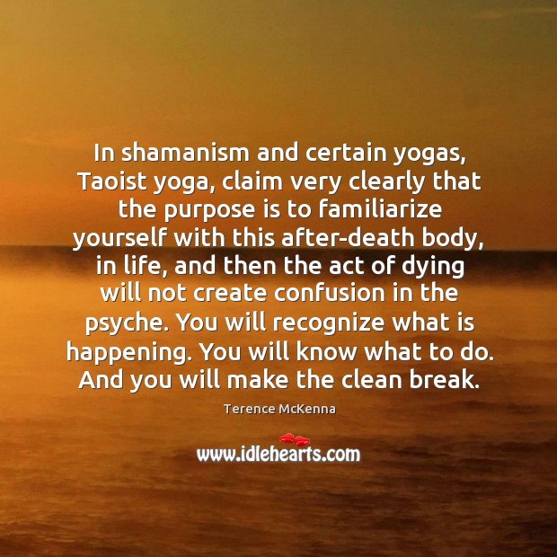 In shamanism and certain yogas, Taoist yoga, claim very clearly that the Terence McKenna Picture Quote