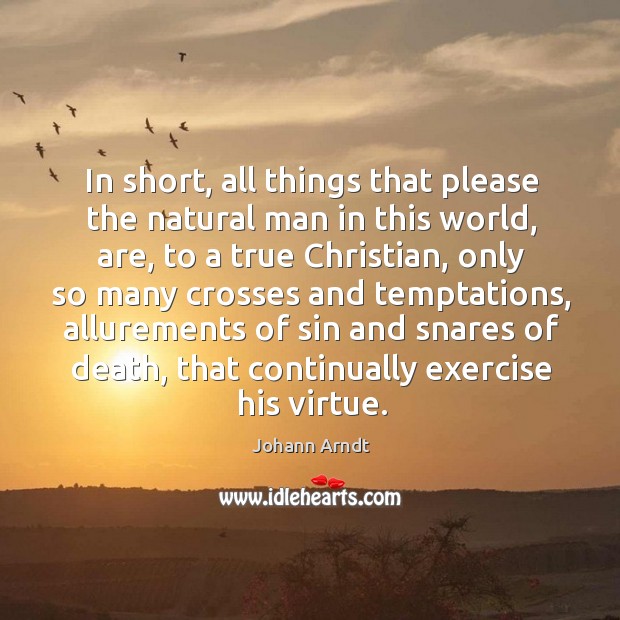 In short, all things that please the natural man in this world, are, to a true christian Johann Arndt Picture Quote