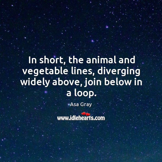 In short, the animal and vegetable lines, diverging widely above, join below in a loop. Asa Gray Picture Quote